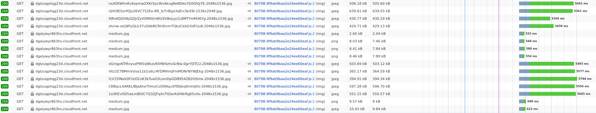 Firefox network tab loading strava.com